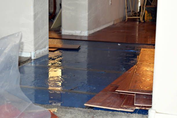 Professional Sewage Cleanup technician working in Dimock, SD