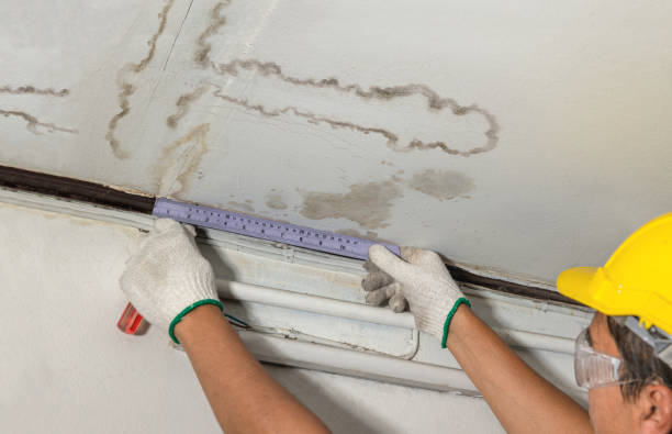 Reliable Sewage Cleanup contractor in Dimock, SD by Water Damage Irwin